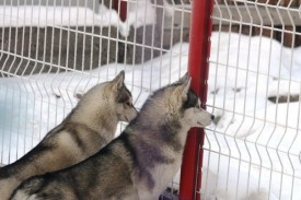 JVFhdq1-NCw.jpg (58.84 КБ, Просмотров: 3360) JVFhdq1-NCw.jpg