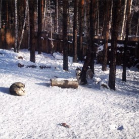 w2Jashmjbkg.jpg (306.84 КБ, Просмотров: 3361) w2Jashmjbkg.jpg