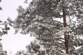 wJ1zUpuMJsc.jpg (93.07 КБ, Просмотров: 3264) wJ1zUpuMJsc.jpg