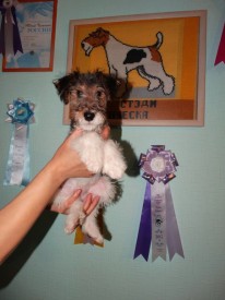 DceX4hlv0v4.jpg (51.46 КБ, Просмотров: 3366) DceX4hlv0v4.jpg