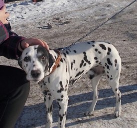 image.jpg (91.91 КБ, Просмотров: 2032) image.jpg