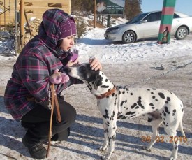 image.jpg (119.84 КБ, Просмотров: 2232) image.jpg