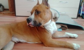 d7RscHS8AWw.jpg (123.06 КБ, Просмотров: 2091) d7RscHS8AWw.jpg