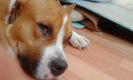 EnO1rpRV5jA.jpg (118.93 КБ, Просмотров: 2091) EnO1rpRV5jA.jpg