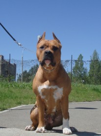 FK151zbo.jpg (130.29 КБ, Просмотров: 2079) FK151zbo.jpg