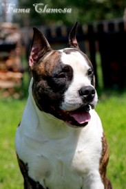 GDoNkfeb9yY.jpg (91.36 КБ, Просмотров: 2079) GDoNkfeb9yY.jpg