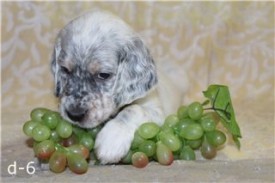 -1271432786.jpg (15.24 КБ, Просмотров: 2175) -1271432786.jpg