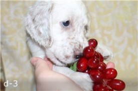 -1271432789.jpg (13.86 КБ, Просмотров: 2176) -1271432789.jpg