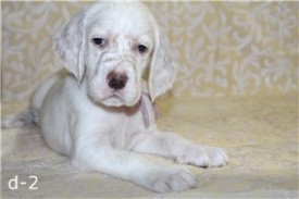 -1271432790 (1).jpg (13.07 КБ, Просмотров: 2176) -1271432790 (1).jpg