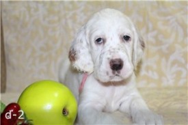 -1271432790.jpg (12.68 КБ, Просмотров: 2175) -1271432790.jpg