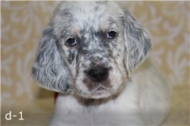 -1271432791 (1).jpg (13.19 КБ, Просмотров: 2175) -1271432791 (1).jpg