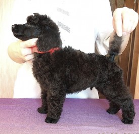 IMG_20150210_155808.jpg (190.22 КБ, Просмотров: 3295) IMG_20150210_155808.jpg