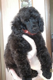 IMG_20150210_155319.jpg (118.45 КБ, Просмотров: 3309) IMG_20150210_155319.jpg