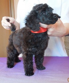 IMG_20150210_095739.jpg (150.22 КБ, Просмотров: 3289) IMG_20150210_095739.jpg