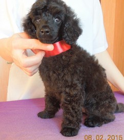 IMG_20150210_100330.jpg (200.48 КБ, Просмотров: 3282) IMG_20150210_100330.jpg