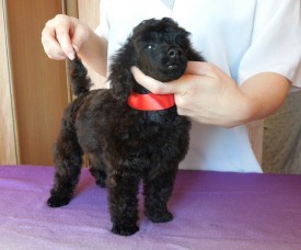 IMG_20150210_072000.jpg (230.49 КБ, Просмотров: 3059) IMG_20150210_072000.jpg