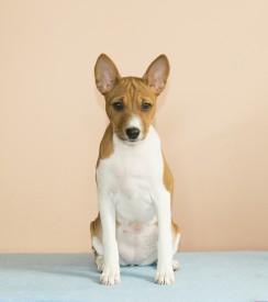 СтешаЛицо3месАк.jpg (429.87 КБ, Просмотров: 2580) СтешаЛицо3месАк.jpg