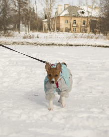 Стеша12Ак.jpg (511.44 КБ, Просмотров: 2582) Стеша12Ак.jpg