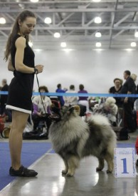 Fenix.s2.jpg (102.28 КБ, Просмотров: 3279) Fenix.s2.jpg