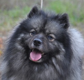 Nelya.p.1.jpg (145.76 КБ, Просмотров: 3291) Nelya.p.1.jpg