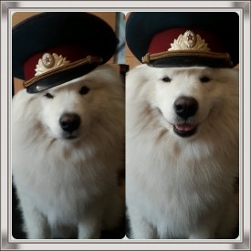 20150223_100416.jpg (723.52 КБ, Просмотров: 2396) 20150223_100416.jpg