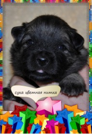 VipTalisman7.jpg1мб.jpg (359.27 КБ, Просмотров: 3177) VipTalisman7.jpg1мб.jpg