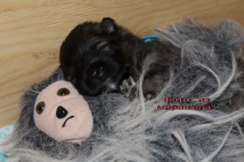 IMG_5536.jpgнадпись.jpg1.jpg (360.26 КБ, Просмотров: 2903) IMG_5536.jpgнадпись.jpg1.jpg