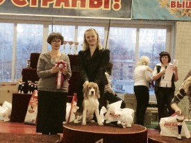 image.jpg (156.73 КБ, Просмотров: 7872) image.jpg