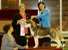 11004795_960130027355296_1438461953_n.jpg (85.84 КБ, Просмотров: 7116) 11004795_960130027355296_1438461953_n.jpg