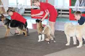 11010298_1802739099950405_7414733784018825197_n.jpg (105.02 КБ, Просмотров: 7039) 11010298_1802739099950405_7414733784018825197_n.jpg