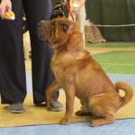 дисквал.jpg (4.97 КБ, Просмотров: 8698) дисквал.jpg