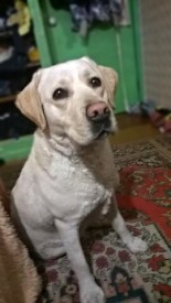 image.jpg (34.61 КБ, Просмотров: 2462) image.jpg