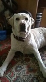 image.jpg (35.04 КБ, Просмотров: 2462) image.jpg