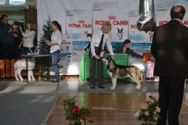 10371381_708259889271428_5665680614450951460_n.jpg (81.81 КБ, Просмотров: 10125) 10371381_708259889271428_5665680614450951460_n.jpg