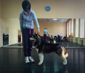 Bou9Icl4K1Y.jpg (140.23 КБ, Просмотров: 9951) Bou9Icl4K1Y.jpg