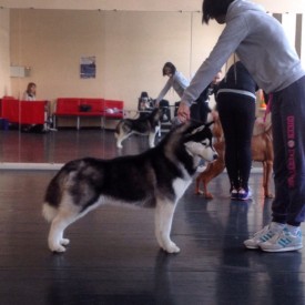 bxRSTF6J_u0.jpg (145.59 КБ, Просмотров: 9537) bxRSTF6J_u0.jpg