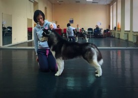 gq70h3PHUts.jpg (113.6 КБ, Просмотров: 9530) gq70h3PHUts.jpg