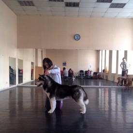 Lmy7f7rvVwo.jpg (161.77 КБ, Просмотров: 10140) Lmy7f7rvVwo.jpg