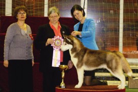 N5NpLxC2Urc.jpg (70.99 КБ, Просмотров: 10139) N5NpLxC2Urc.jpg