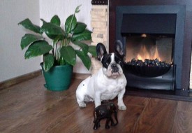 чарук.jpg (43.67 КБ, Просмотров: 1644) чарук.jpg