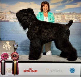 8c05a5b18bde.jpg (217.63 КБ, Просмотров: 1420) 8c05a5b18bde.jpg