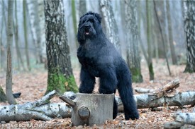 16a4f035f0e2.jpg (166.79 КБ, Просмотров: 1552) 16a4f035f0e2.jpg