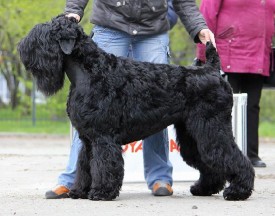 showsphoto.php.jpg (282.5 КБ, Просмотров: 1467) showsphoto.php.jpg