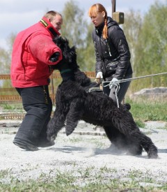 KDUUOmd90uA.jpg (133.63 КБ, Просмотров: 1420) KDUUOmd90uA.jpg