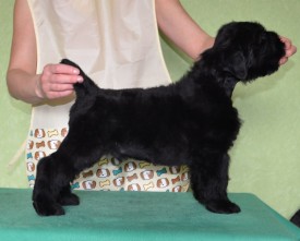 k0zOoEHM07o.jpg (72.52 КБ, Просмотров: 1419) k0zOoEHM07o.jpg