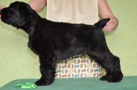 SyOaOuZwAkQ.jpg (67.06 КБ, Просмотров: 1420) SyOaOuZwAkQ.jpg