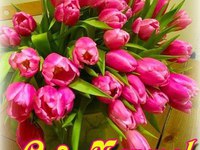 букет.jpg (12.96 КБ, Просмотров: 3683) букет.jpg