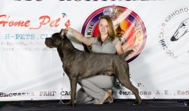 gEvFBxgVxaM.jpg (191.95 КБ, Просмотров: 5007) gEvFBxgVxaM.jpg