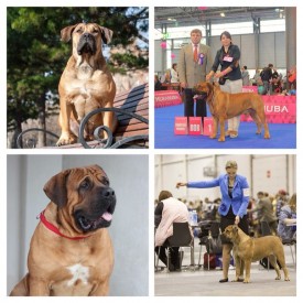 uyo2sUXFkx0.jpg (92.88 КБ, Просмотров: 2955) uyo2sUXFkx0.jpg