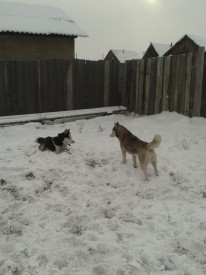 папа и мама2.jpg (163.13 КБ, Просмотров: 1703) папа и мама2.jpg